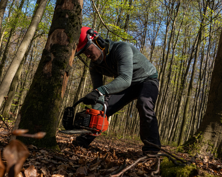 A man cutting down a tree with a chainsaw