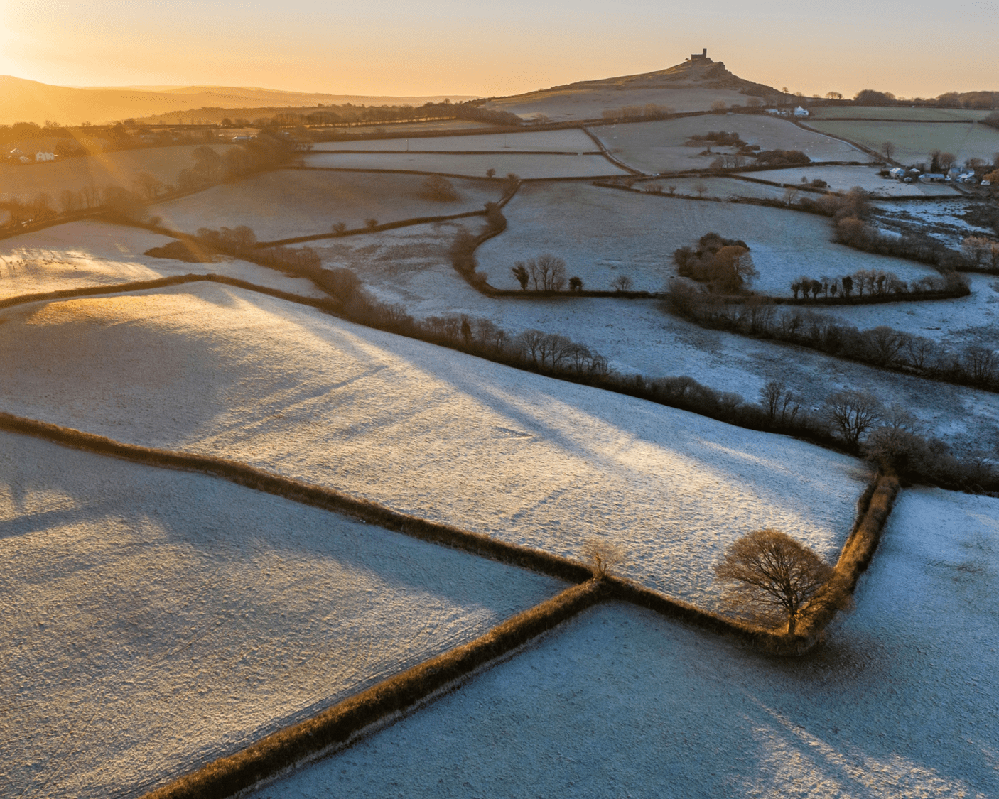 Frosty Fields