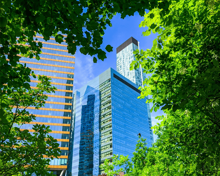 office building visible through trees