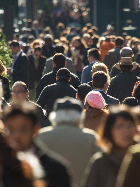 Employment and pensions