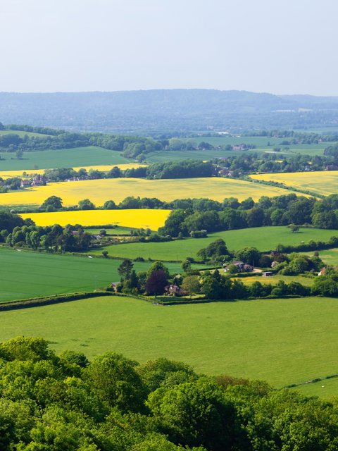 Agriculture and rural estates
